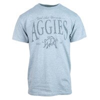 Champion utah state university aggies distressed gray unisex t-shirt